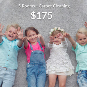 carpet-5-rooms