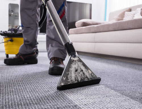 The Importance of Regular Carpet Cleaning