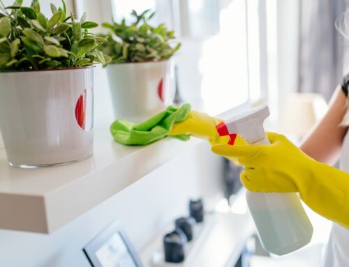 5 Quick Cleaning Tips to Instantly Refresh Your Indianapolis Home