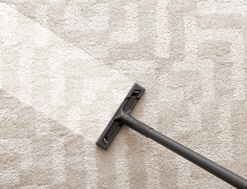 How Often Should You Clean Your Carpets in Indianapolis?