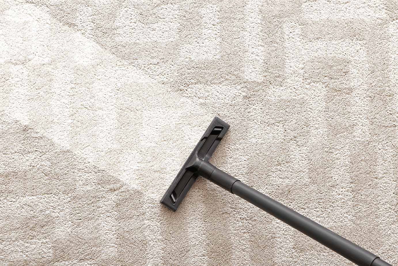 Professional Carpet Cleaning in Indianapolis