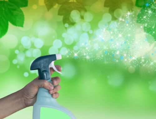 The Importance of Eco-Friendly Cleaning Products for Your Indianapolis Home
