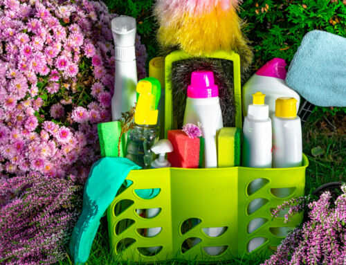 Ultimate Guide to Eco-Friendly Cleaning: Becht Pride’s Sustainable Solutions