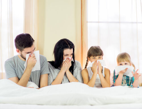 Combatting Allergies in Indianapolis: How Clean Homes Make a Difference